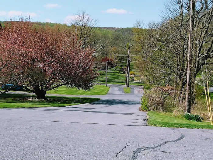 Saucon Valley Animal Hospital Picture 1