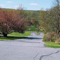 Saucon Valley Animal Hospital ico
