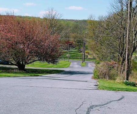Saucon Valley Animal Hospital