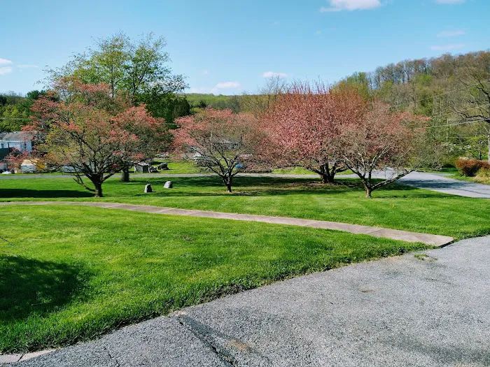 Saucon Valley Animal Hospital Picture 5