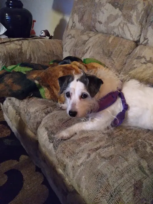 Saucon Valley Animal Hospital Picture 9