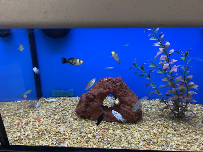 Petco Picture 2