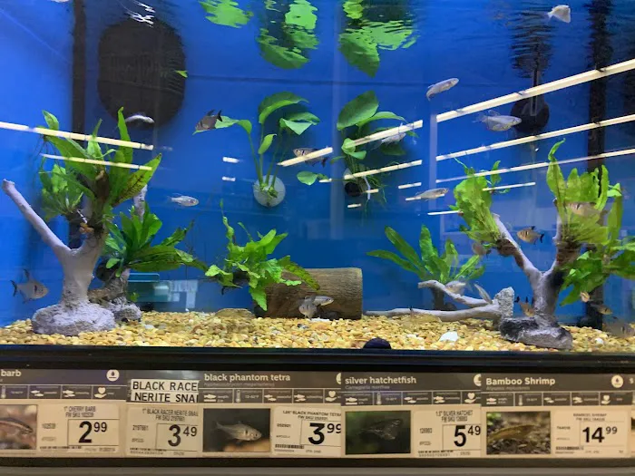 Petco Picture 7