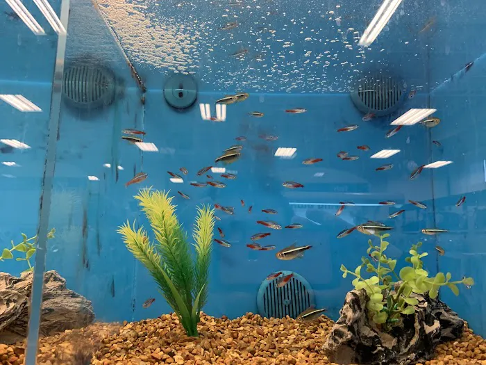 Petco Picture 10