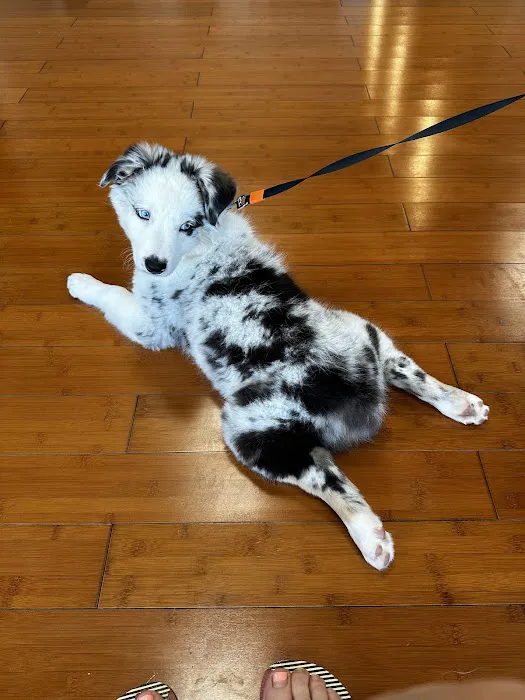 Hellertown Veterinary Center Picture 4