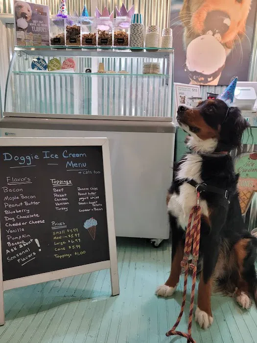 Salty Paws Rittenhouse Square Picture 5