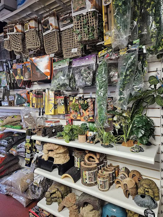 Jay's Exotic Reptiles & Plants Picture 1