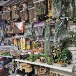 Jay's Exotic Reptiles & Plants