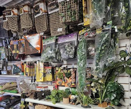 Jay's Exotic Reptiles & Plants