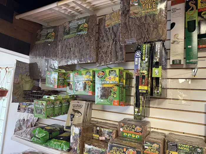 Jay's Exotic Reptiles & Plants Picture 4