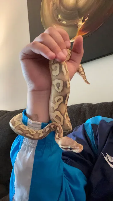Jay's Exotic Reptiles & Plants Picture 7