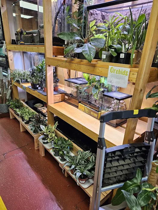 Jay's Exotic Reptiles & Plants Picture 6