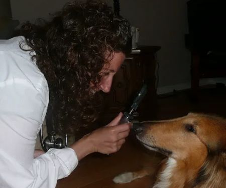 Healing Pets Mobile Vet