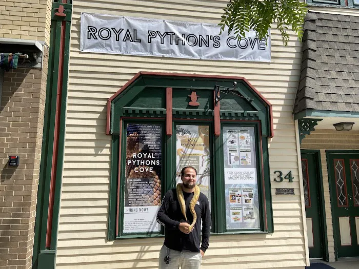 Royal Python's Cove Picture 3