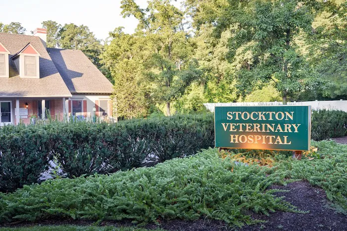 Stockton Veterinary Hospital Picture 3