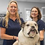 Stockton Veterinary Hospital