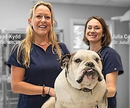 Stockton Veterinary Hospital