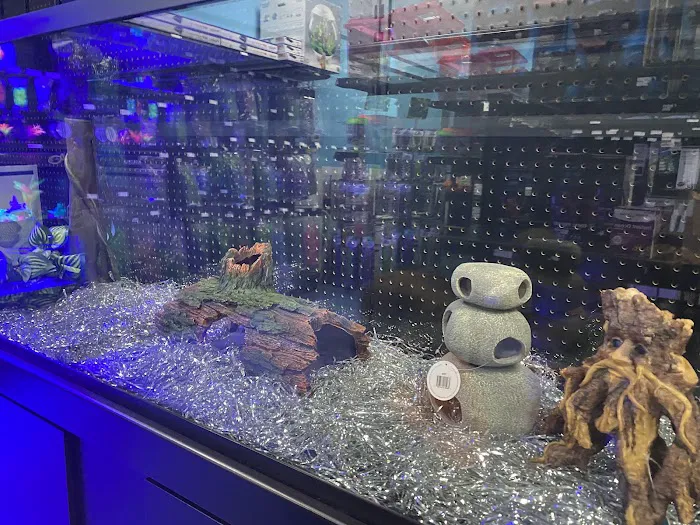 Aquarium Center Picture 3