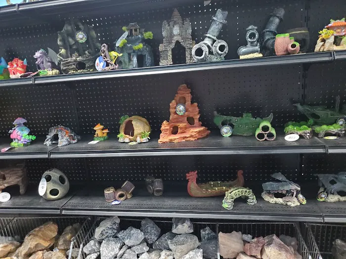 Aquarium Center Picture 2