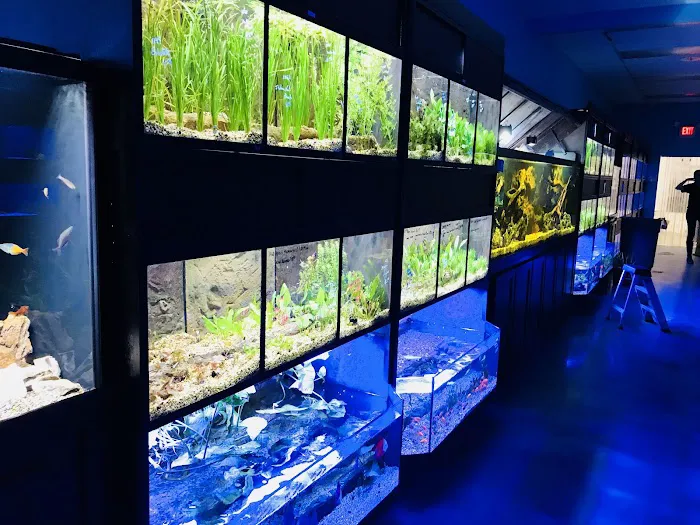 Aquarium Center Picture 4