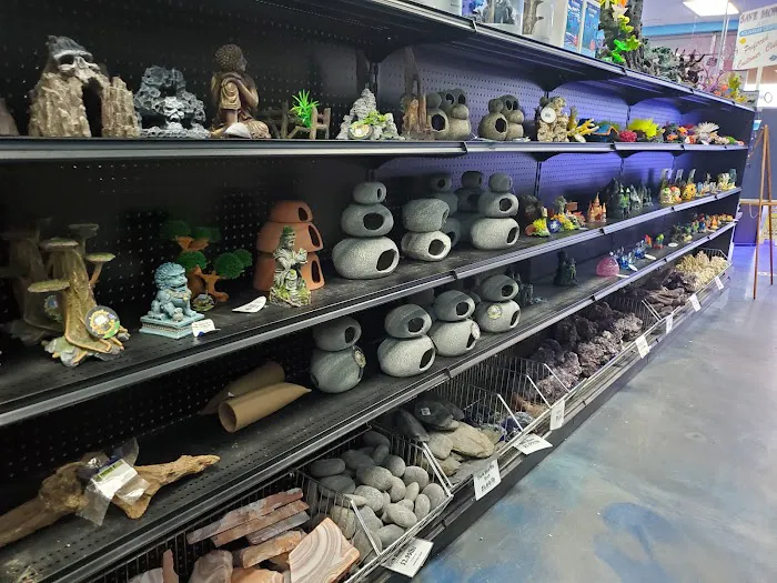 Aquarium Center Picture 5