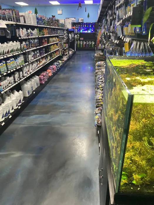 Aquarium Center Picture 8