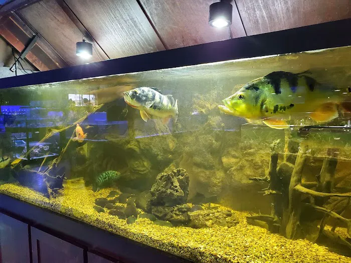 Aquarium Center Picture 10