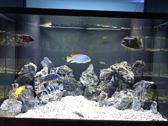 Aquarium Center Picture 7