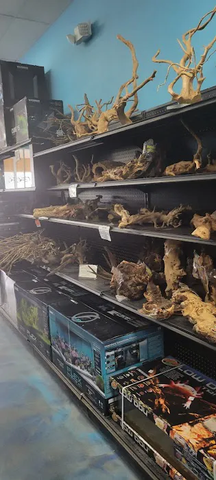 Aquarium Center Picture 9