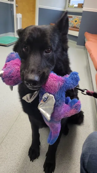 Lambertville Animal Hospital Picture 4