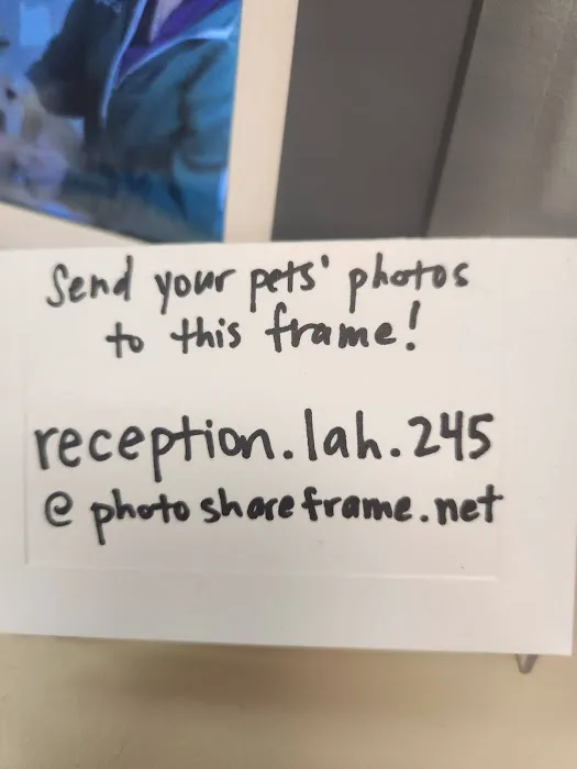 Lambertville Animal Hospital Picture 7