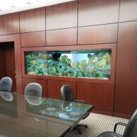 Majestic Aquatics ico