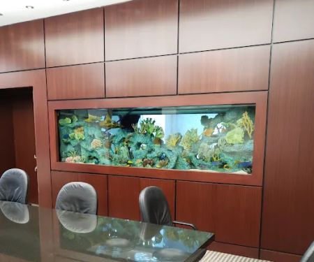 Majestic Aquatics