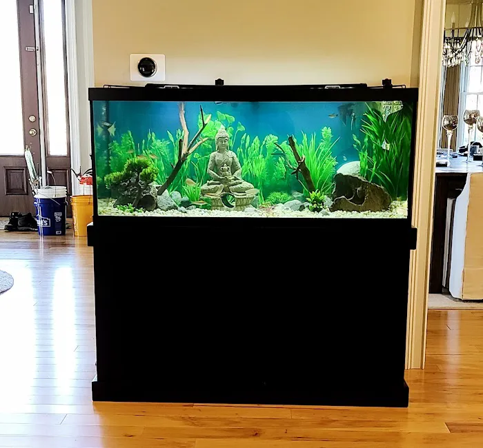 Majestic Aquatics Picture 5