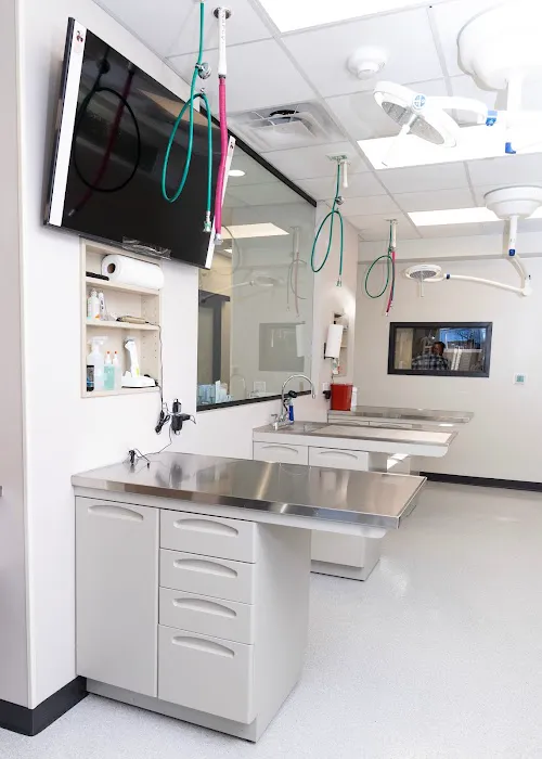 Vet Vision Center Picture 1