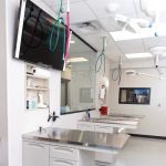 Vet Vision Center