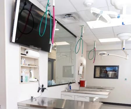 Vet Vision Center