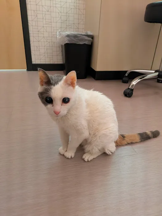 Vet Vision Center Picture 3