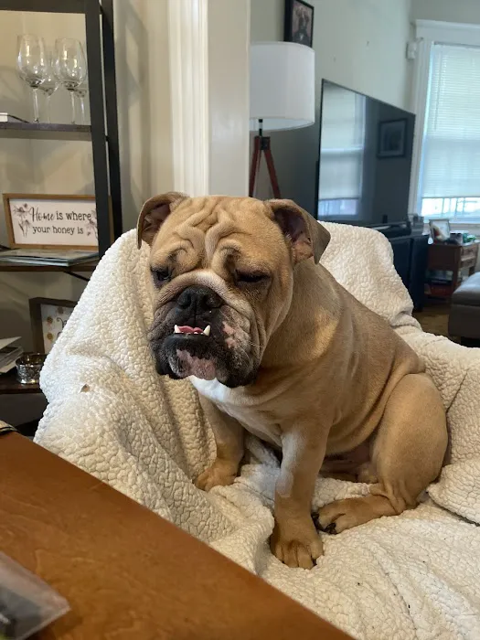 Vet Vision Center Picture 6