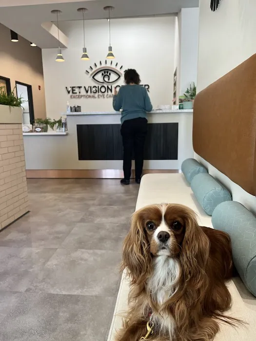 Vet Vision Center Picture 7