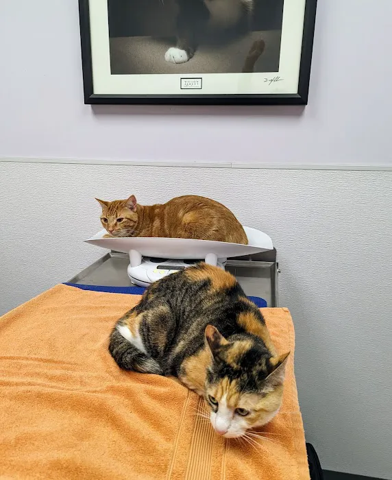 Creekview Veterinary Hospital Picture 4