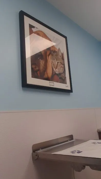 Creekview Veterinary Hospital Picture 10