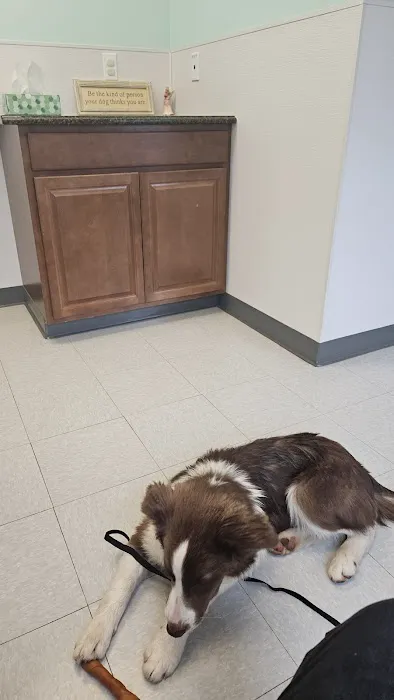 Creekview Veterinary Hospital Picture 9
