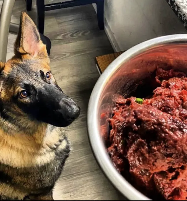 Athletic K9 Raw Dog Food Picture 7
