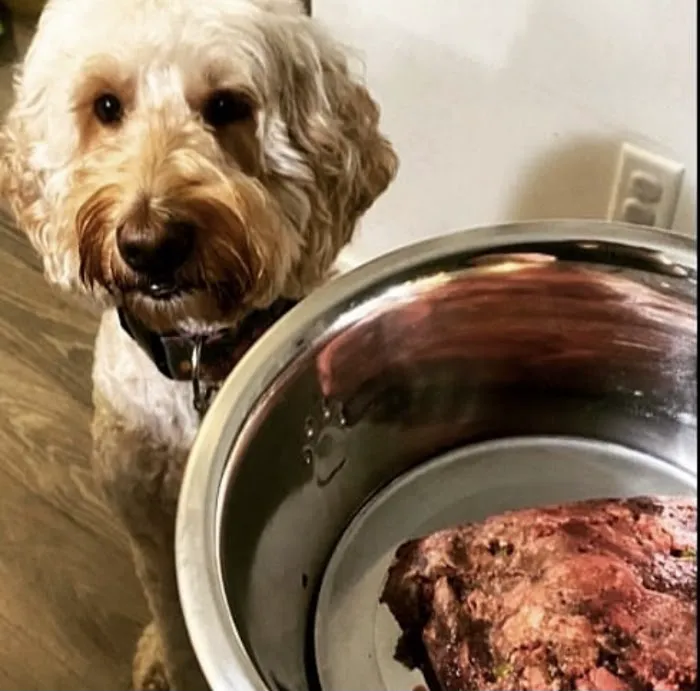Athletic K9 Raw Dog Food Picture 6