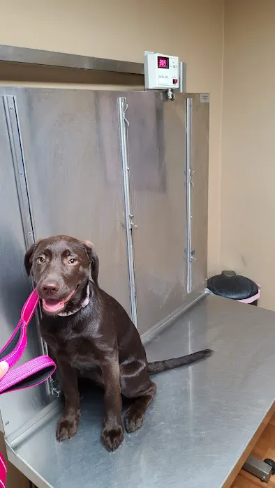 Upper Saucon Animal Hospital Picture 2