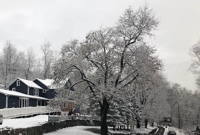 Upper Saucon Animal Hospital Picture 1