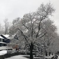Upper Saucon Animal Hospital ico