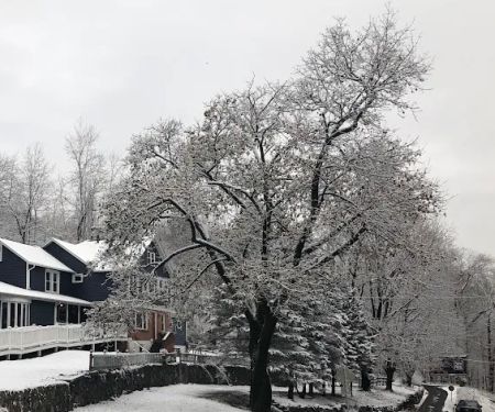 Upper Saucon Animal Hospital