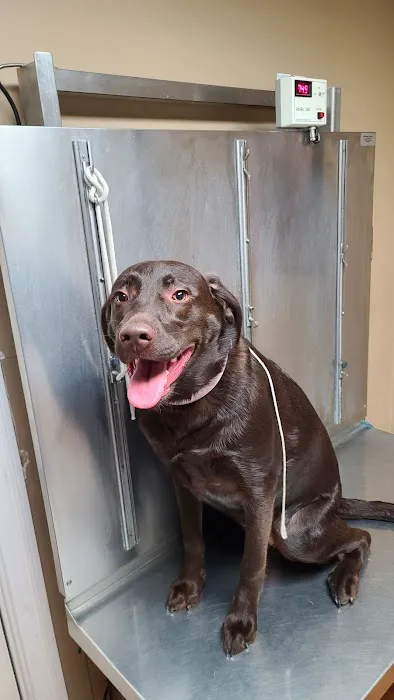 Upper Saucon Animal Hospital Picture 9